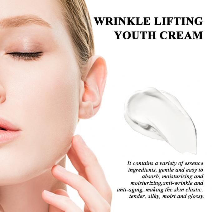 Regular Size Anti Aging Moisturizer Organic Natural Wrinkle Lifting Cream dla dorosłych 4