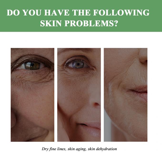 Regular Size Anti Aging Moisturizer Organic Natural Wrinkle Lifting Cream dla dorosłych 6